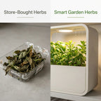 Hydroponic Indoor Herb Garden Kit — USB Grow Light, Auto-Watering, Year-Round