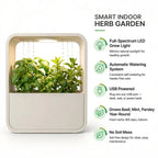 Hydroponic Indoor Herb Garden Kit — USB Grow Light, Auto-Watering, Year-Round