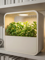 Hydroponic Indoor Herb Garden Kit — USB Grow Light, Auto-Watering, Year-Round